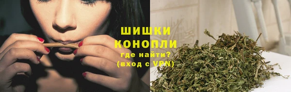 mdpv Снежинск