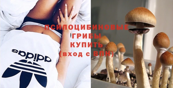 амф Белоозёрский