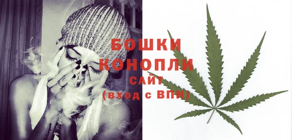 дмт Белокуриха