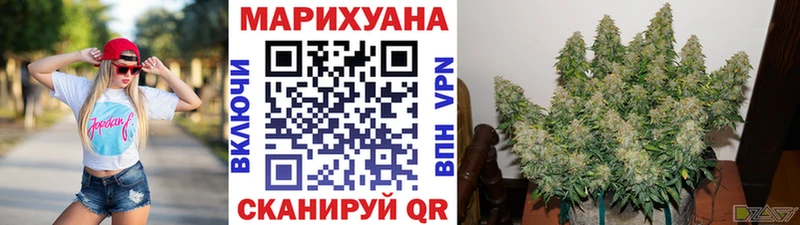 Каннабис планчик маркетплейс наркотические препараты МЕГА ТОР Нижний Ломов наркошоп